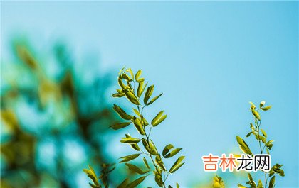 最全四柱神煞寓意速查表，带你走近四柱神煞!