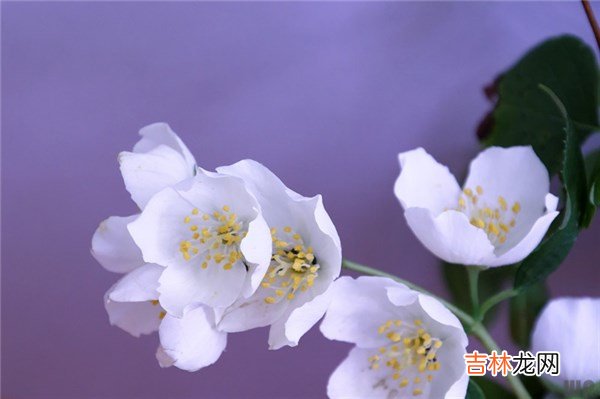话不在多 心里有你；能一直心疼你，包容你，其实就是珍惜你
