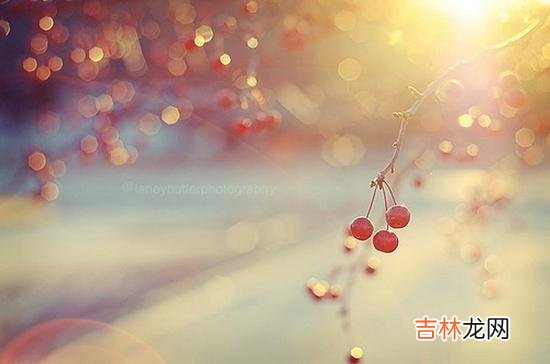 导语：男人这本书 一个要养成一种贵族气质，至少要有三辈子