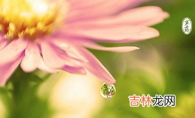 2020庚子年寒露节气午时出生命好吗五行喜用神解析