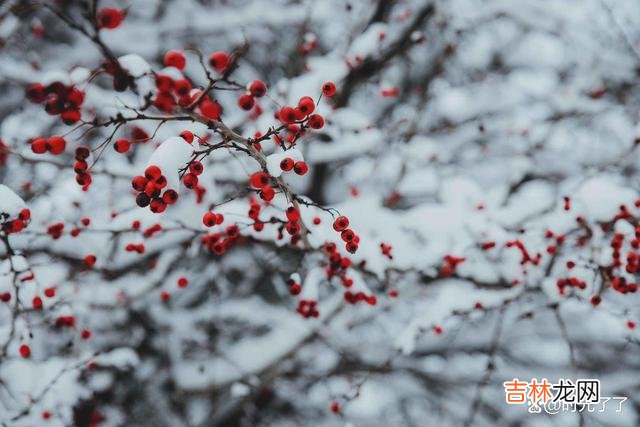 越是没人在乎，越是能够体现一个人最真实的一面