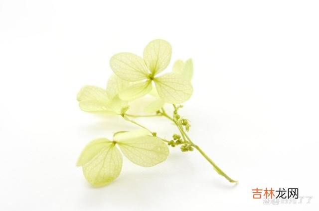 过了期的爱 爱过的人，没有办法退而求其次地做朋友