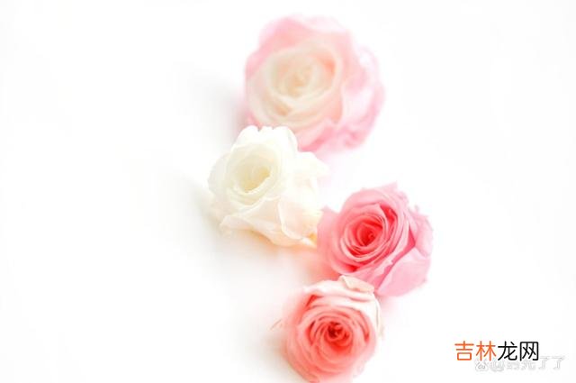过了期的爱 爱过的人，没有办法退而求其次地做朋友