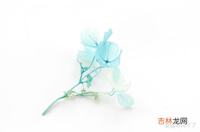 过了期的爱 爱过的人，没有办法退而求其次地做朋友