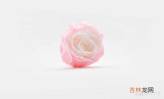 过了期的爱 爱过的人，没有办法退而求其次地做朋友
