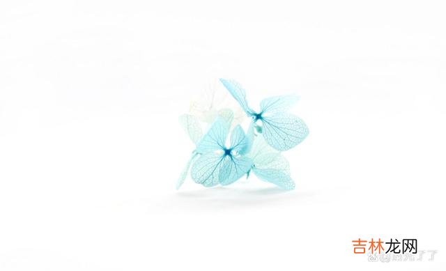 过了期的爱 爱过的人，没有办法退而求其次地做朋友