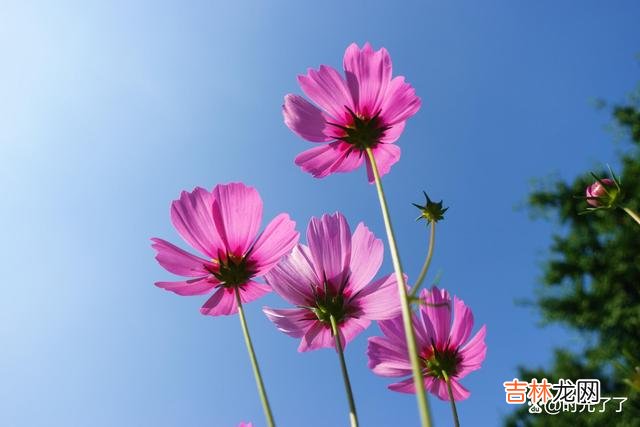 少说是为了避免祸从口出 人这一辈子，活得轻松与否，端看自己如何选择