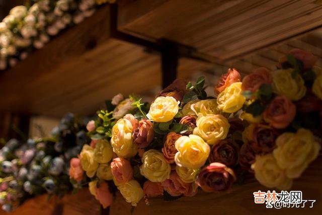 如果不曾有过希望 人生没有绝对正确的选择，只有相对幸福的决定
