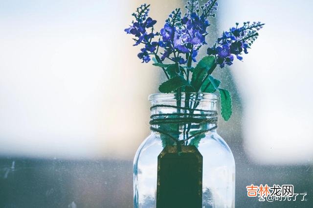 所谓的灵魂伴侣 人生一世,多少人忙忙碌碌,却并不知道自己为何忙碌?