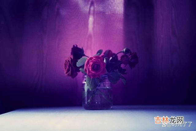 -01-女人结婚之后 婆媳关系一旦处理得不好，你的婚姻生活也会受到很大的影响