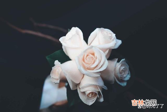 -01-女人结婚之后 婆媳关系一旦处理得不好，你的婚姻生活也会受到很大的影响