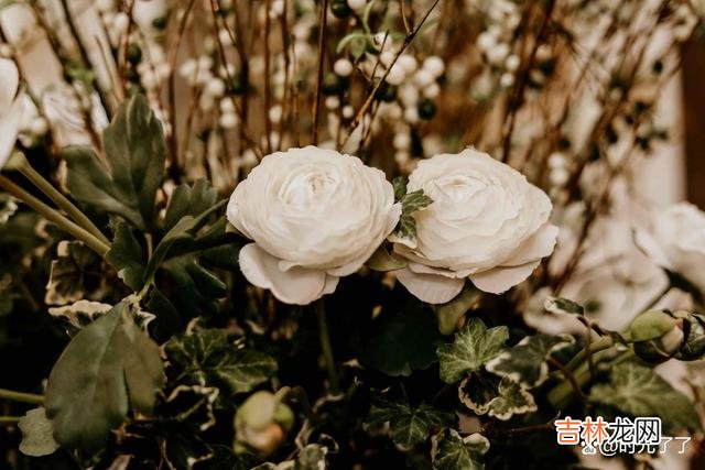 -01-女人结婚之后 婆媳关系一旦处理得不好，你的婚姻生活也会受到很大的影响