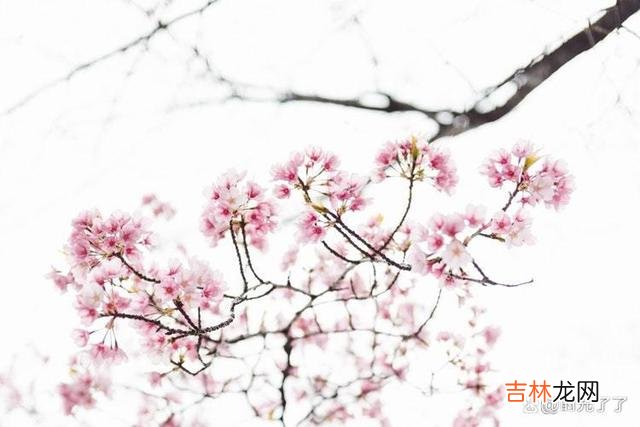 人生就像一场旅行 失败是成功之母，相信这句话的人一定已经成功了