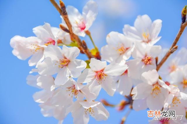 那些忧愁涌上心头的瞬间 人生的路上会遇见许多让人痛苦的事情，熬过了才能重获新生