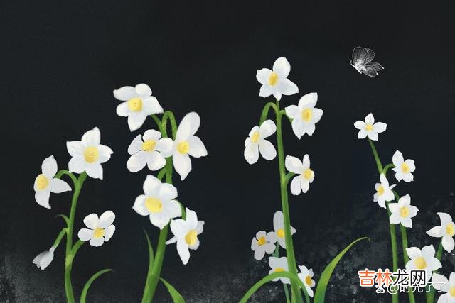 就像作家三毛所说：朋友中的极品 不想吃亏，就清醒一点，离这三种人远一点