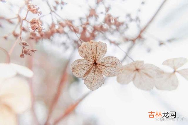 在这个世界上 倘若你爱的人也正好爱着你，那代表着你足够幸运