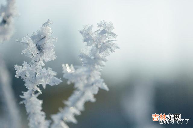 相遇是此生的缘分 未来不在虚无缥缈的幻想里，而在你的脚下