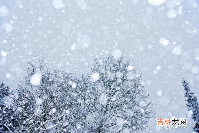 相遇是此生的缘分 未来不在虚无缥缈的幻想里，而在你的脚下