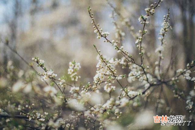 为人老实 永远不要考验人性，因为人性经不起考验