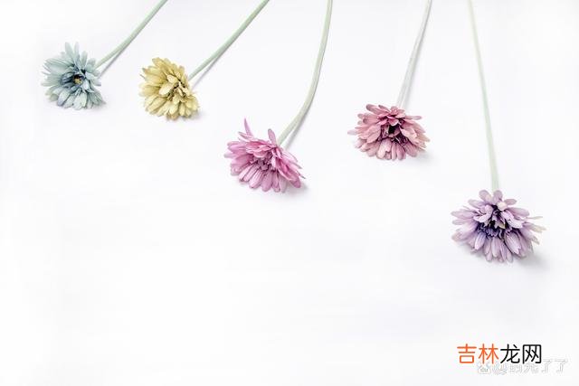-01-与人相处 如果喜欢一个人，就勇敢地向对方表达出来，让对方知道你的心意