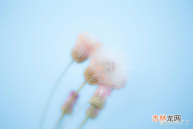 不爱你的人 失落，惆怅，遗憾是许多人面对感情失意的正常情绪