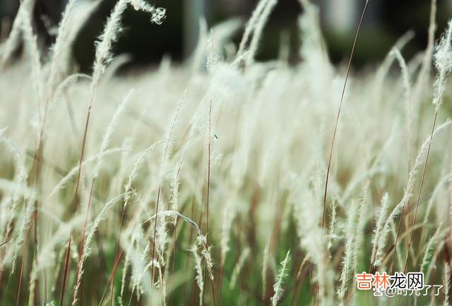 不爱你的人 失落，惆怅，遗憾是许多人面对感情失意的正常情绪