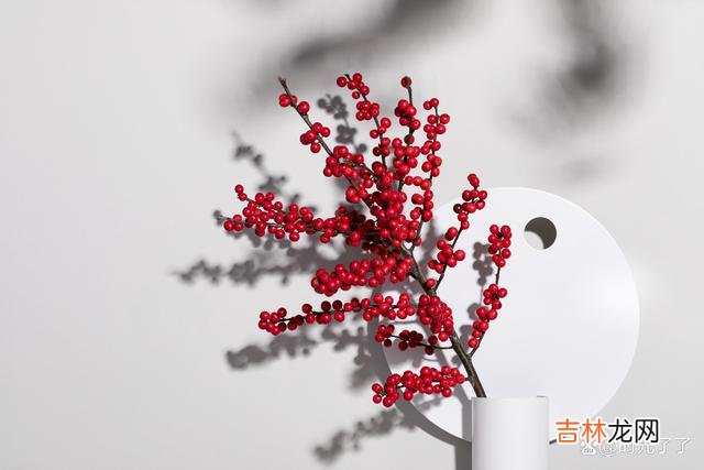 人这一生 人老了就别再内耗了,否则短暂的一生就这样被虚度