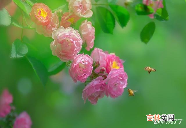 人这一生 人老了就别再内耗了,否则短暂的一生就这样被虚度