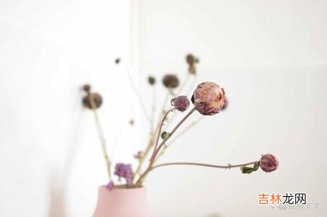 一个女人活到了五十岁 女人哪怕是到了五十岁,也是无法随心所欲,按照自己的心意活着的