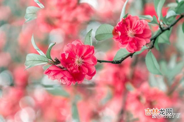 一个女人活到了五十岁 女人哪怕是到了五十岁,也是无法随心所欲,按照自己的心意活着的