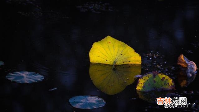 一个女人活到了五十岁 女人哪怕是到了五十岁,也是无法随心所欲,按照自己的心意活着的