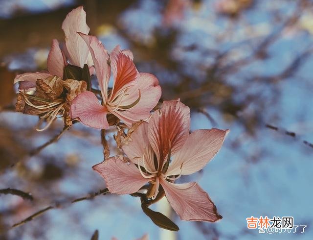 Chapter01俗话说 有男有女的地方，就有爱情的发生