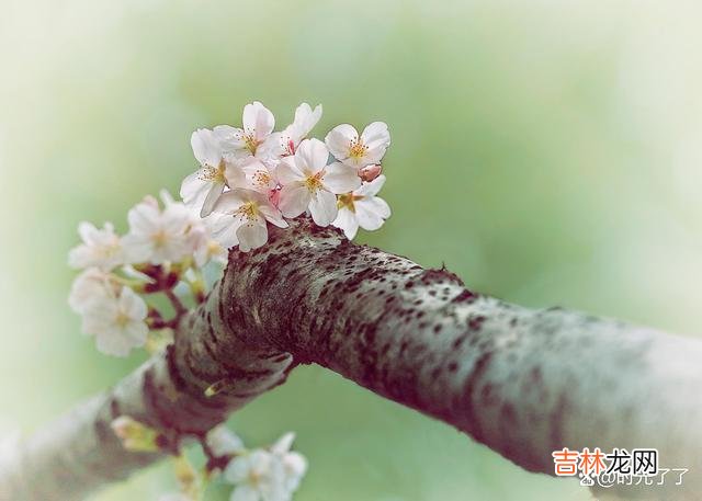 物质的匮乏让人切身的感受到生活的艰难 女人不仅要在物质上富养自己，更要在精神上富养自己