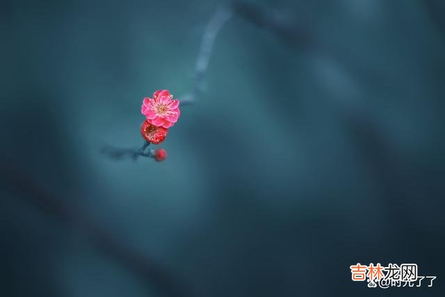 大的格局让一个人拥有相对的自由 大的格局让一个人拥有相对的自由，而自由让人懂得享受孤独