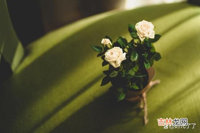最怕一颗真心被辜负 往后余生,自私一点,多爱自己一点