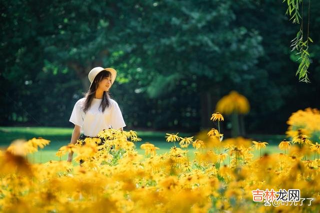 结婚后,被婆家高看的女人,往往很有手段