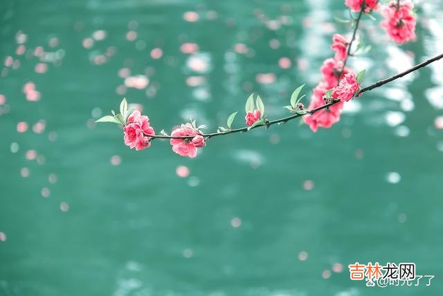 在冯小刚的电影《芳华》里面有这么一句台词：一旦发现英雄也会落井 如何识别一个人是不是精致利己主义者？