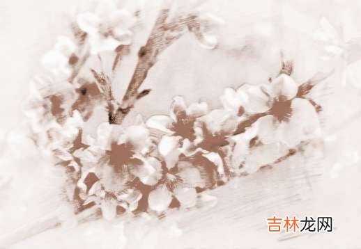 你知道什麽樣的桃花不能碰嗎？