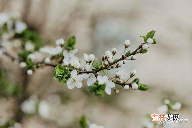 爱情是一件很自私的事 爱情，要么让人变得成熟，要么让人堕落