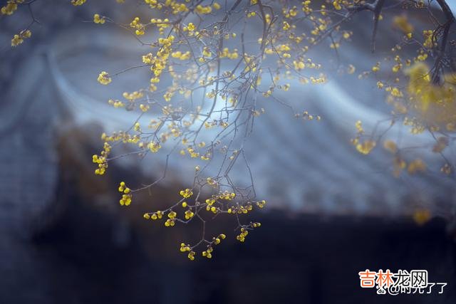 “随便” 缘分一场，是各自生命中的幸运
