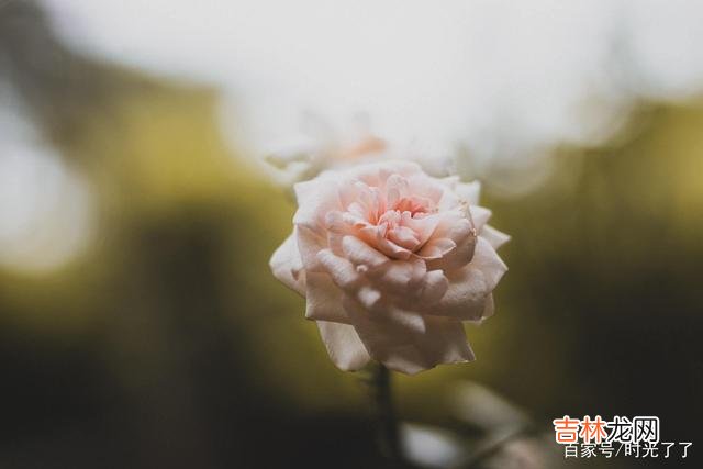 容易受男人青睐的女人有多种类型 为什么男人看不上刻薄的女人？
