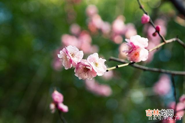 人没有办法选择自己的出生 穷人要想跻身上流阶层,最好就从现在开始努力