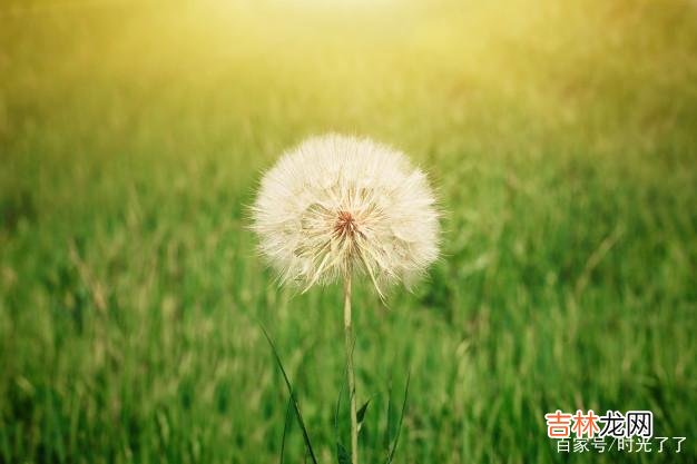 二十五度的温度 与人相处，别太热情，免得一番热情遭了别人的冷眼