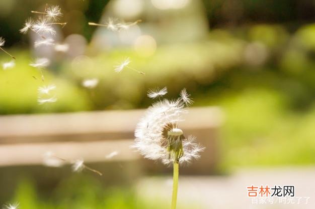 二十五度的温度 与人相处，别太热情，免得一番热情遭了别人的冷眼