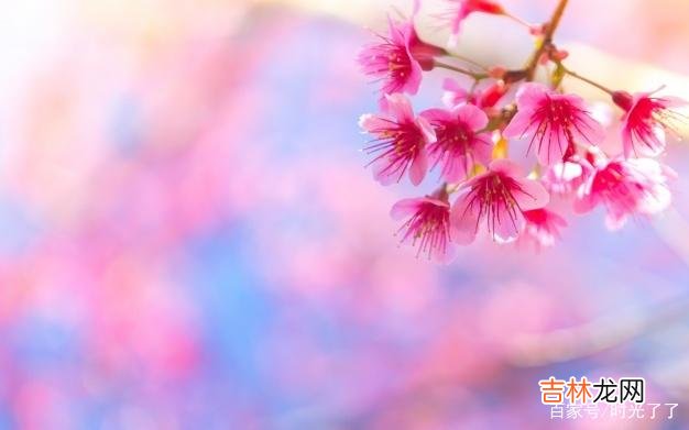 毫无节制地放肆固然让人感到快乐 做一个自律的人，贯彻终身读书的信念