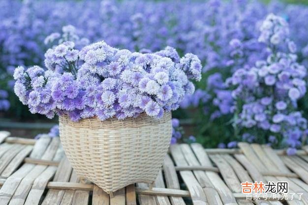 毫无节制地放肆固然让人感到快乐 做一个自律的人，贯彻终身读书的信念