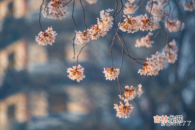 就好像冰雪会在春天融化 相遇靠缘，所有的分离也是命中注定