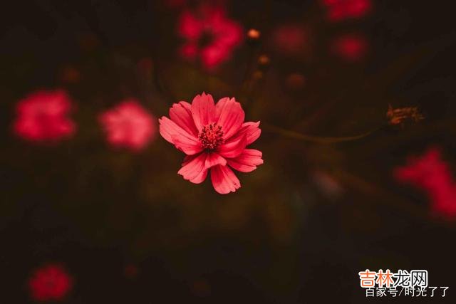 Chapter01中国人的婚姻自古以来讲究的都是门当户...|许多女人婚姻的不幸，往往就是因为家庭悬殊过大