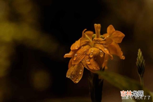 讲真 人生的幸福，不仅在于得到，也在于放下