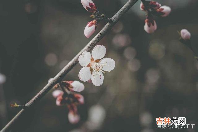 讲真 人生的幸福，不仅在于得到，也在于放下